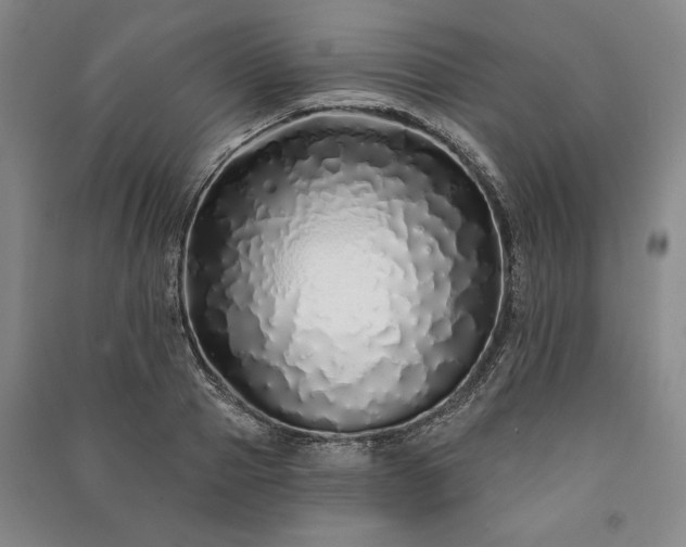 X0000091210937200708161540