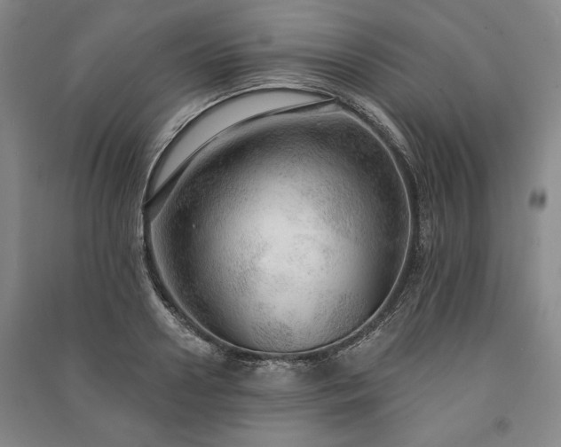 X0000091210938200708161540