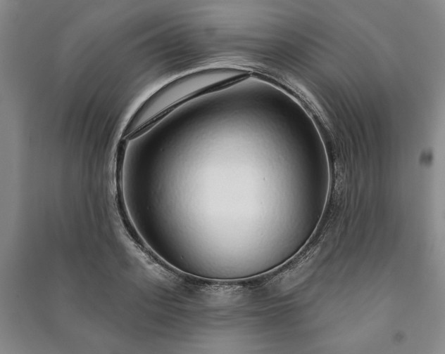 X0000091210939200708161540