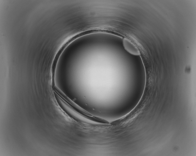 X0000091210940200708161540