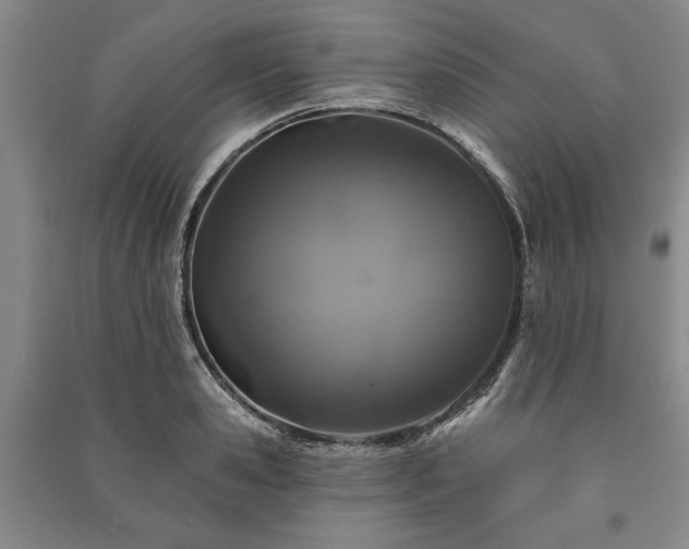 X0000091210941200708161540