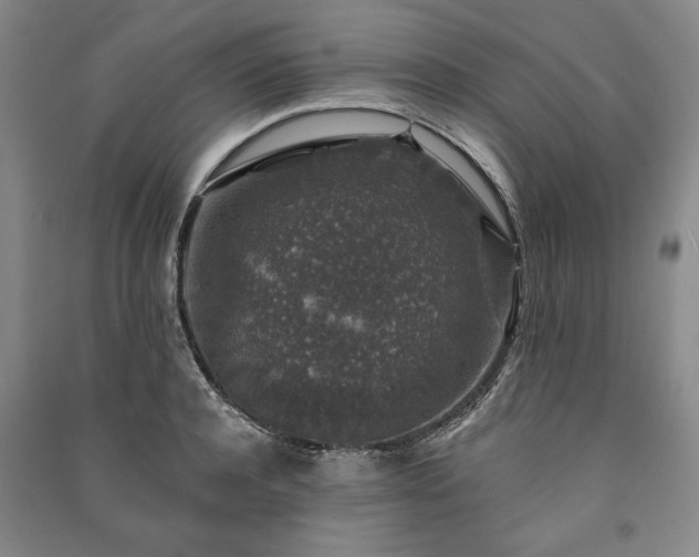 X0000091210944200708161540