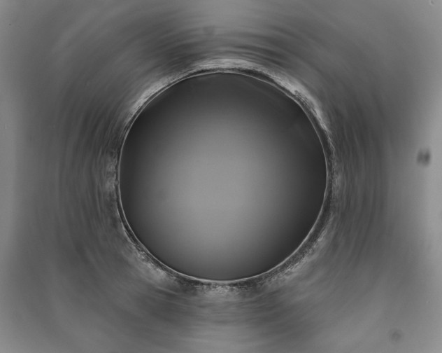 X0000091210945200708161540