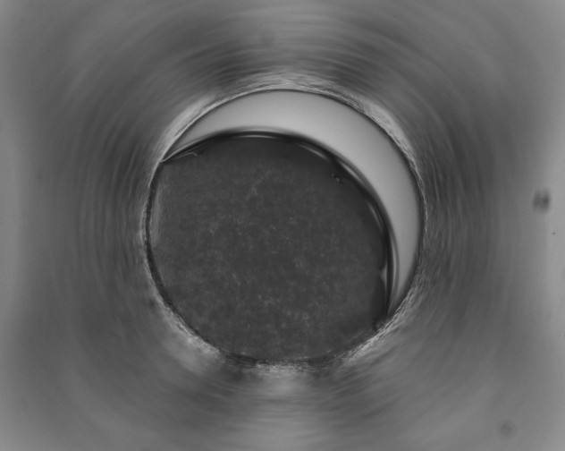 X0000091210946200708161540