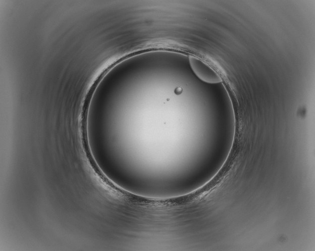 X0000091210947200708161540