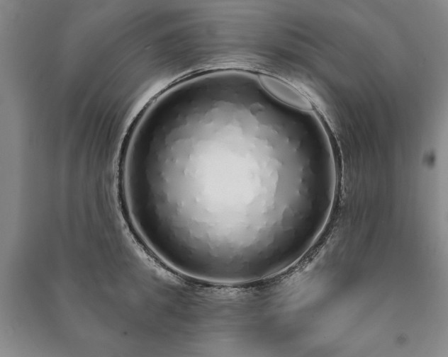 X0000091210949200708161540