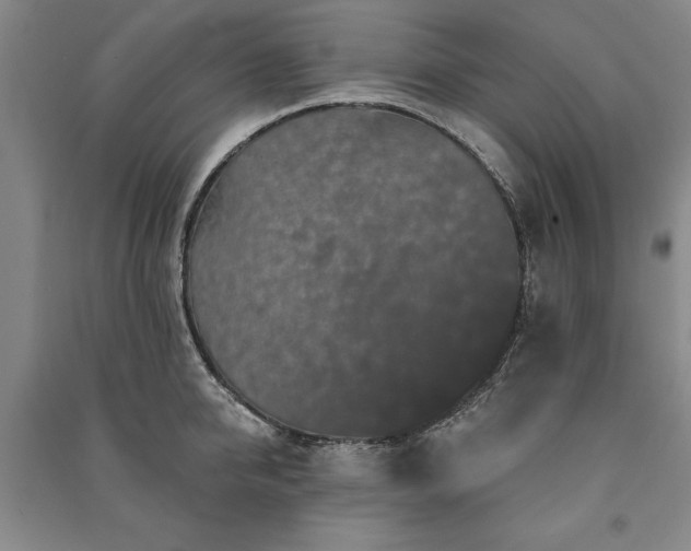 X0000091210950200708161540