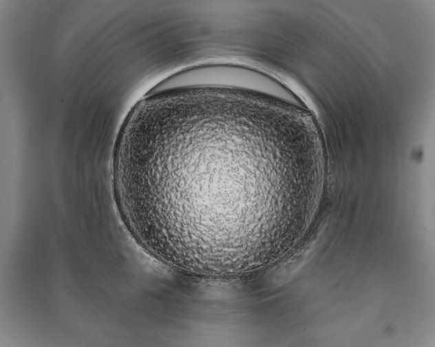 X0000091210951200708161540