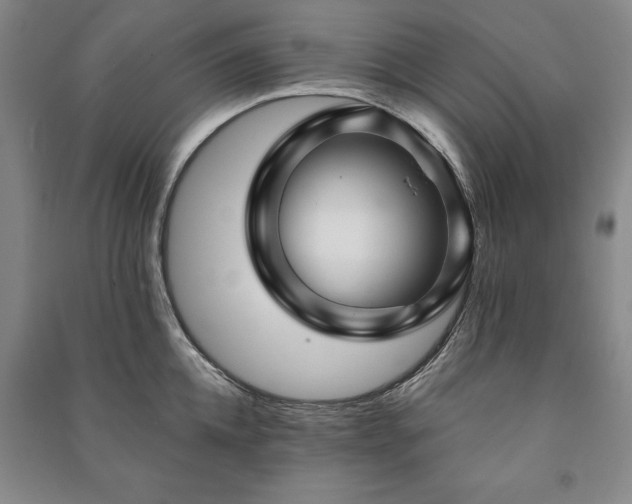 X0000091210952200708161540