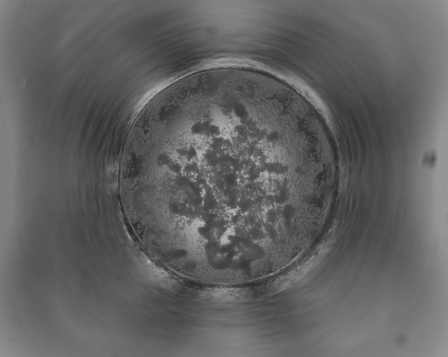 X0000091210953200708161540