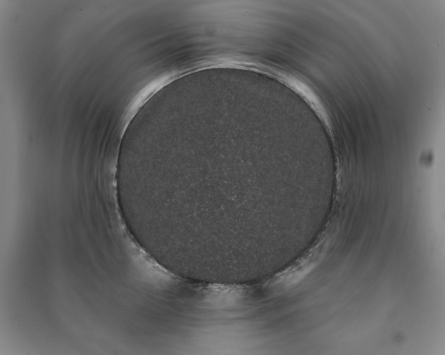 X0000091210954200708161540
