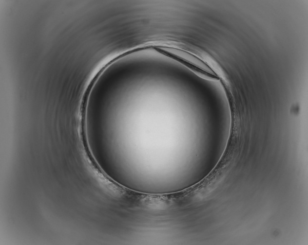X0000091210955200708161540