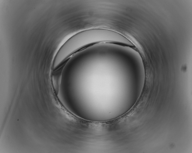 X0000091210956200708161540