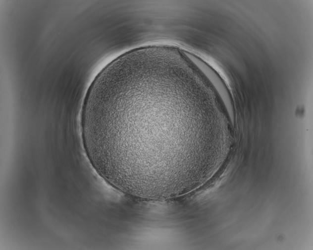 X0000091210959200708161540