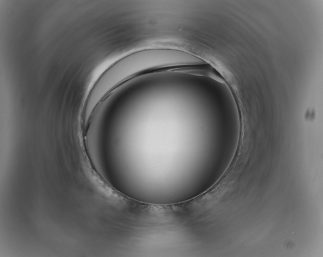 X0000091210960200708161540