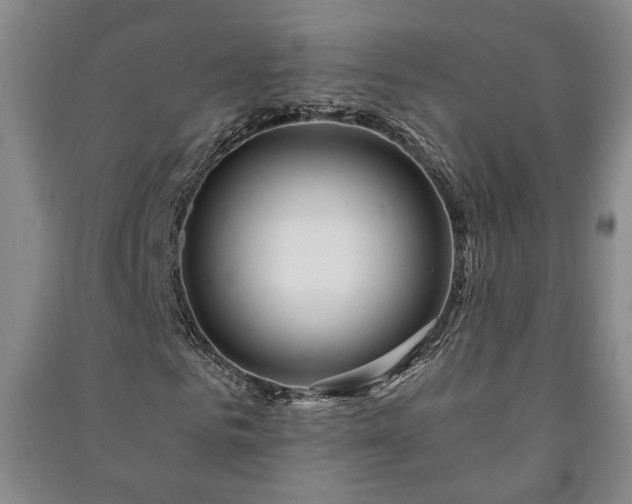 X0000091210961200708161540