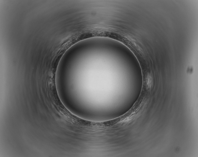 X0000091210964200708161539
