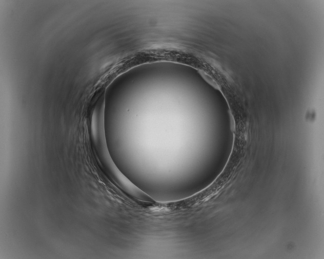 X0000091210965200708161539