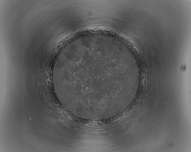 X0000091210966200708161539