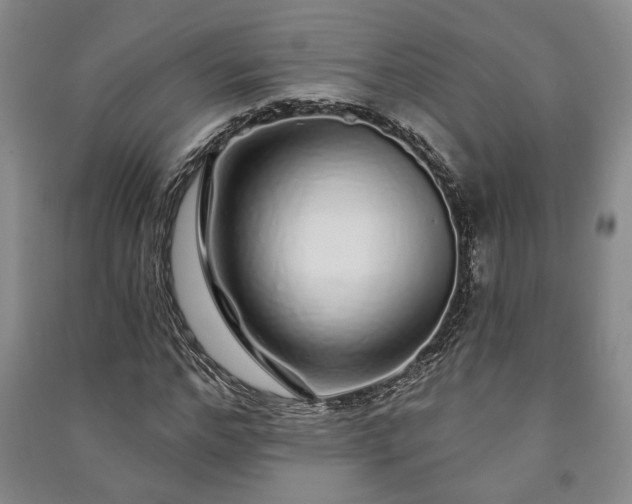 X0000091210968200708161539