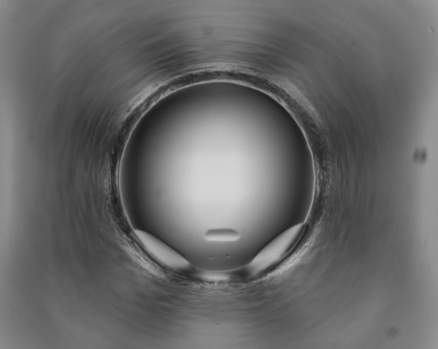 X0000091210969200708161539