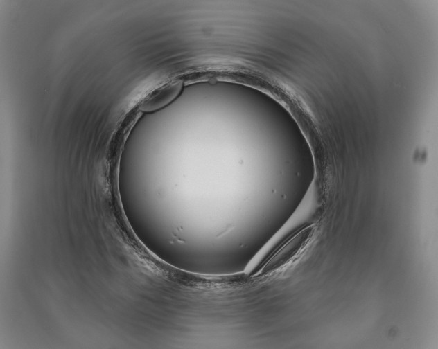 X0000091210970200708161539