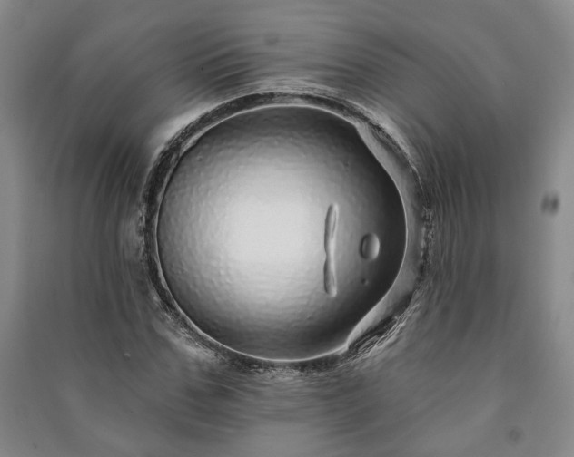 X0000091210971200708161539