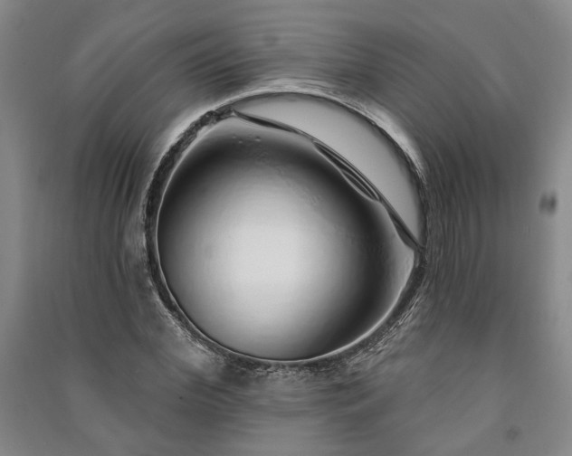 X0000091210972200708161539