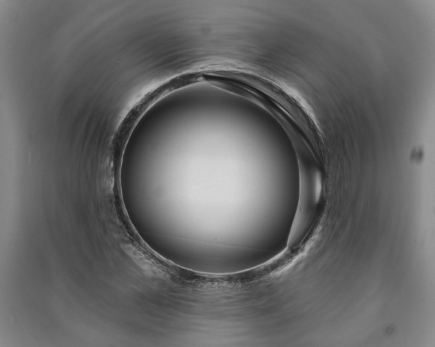 X0000091210973200708161539