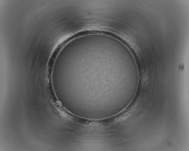 X0000091210974200708161539