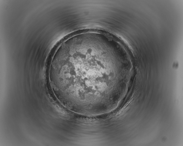 X0000091210975200708161539