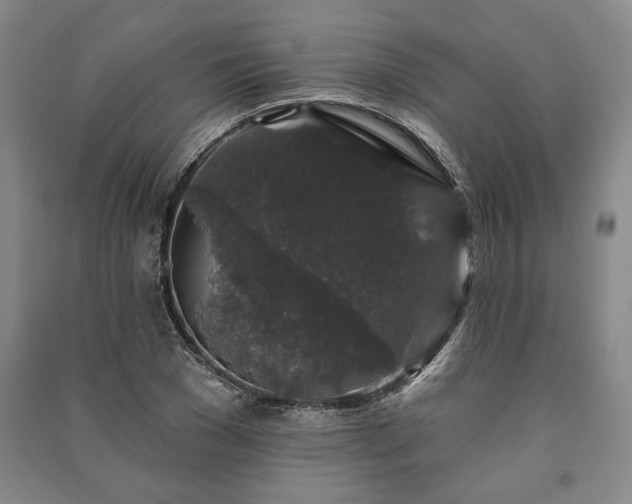 X0000091210977200708161539