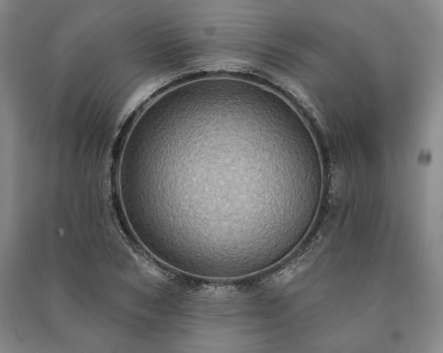 X0000091210978200708161539