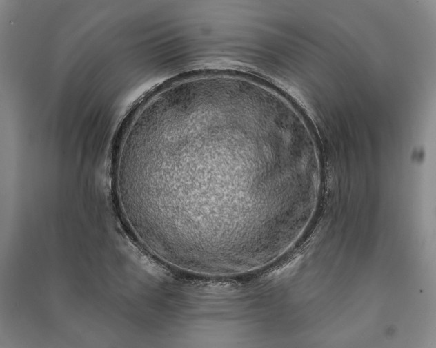 X0000091210979200708161539