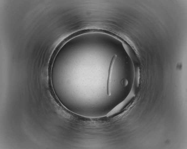 X0000091210980200708161539