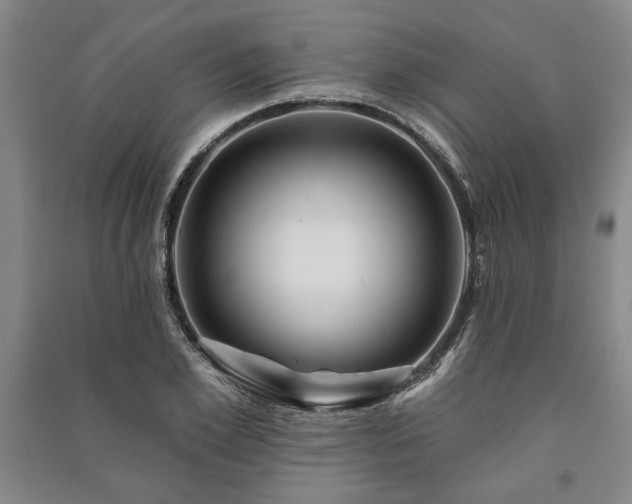 X0000091210981200708161539