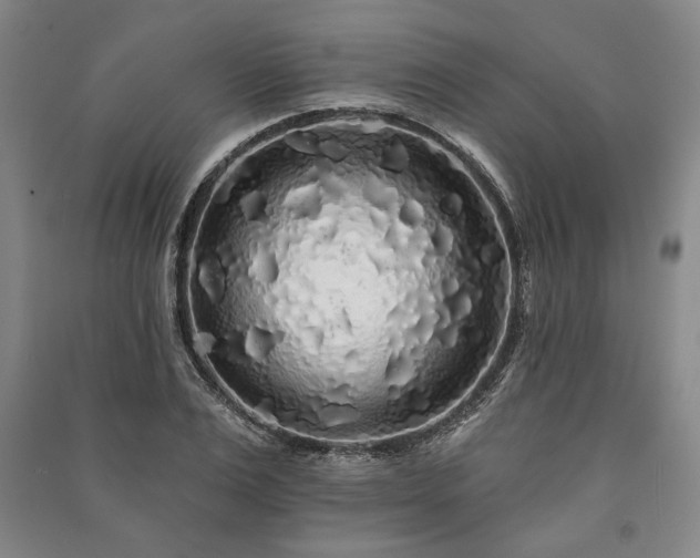 X0000091210983200708161539