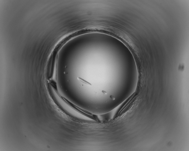 X0000091210984200708161539
