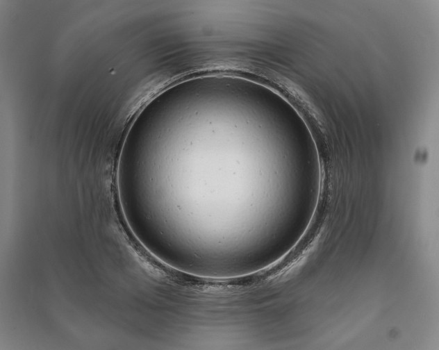 X0000091210985200708161539