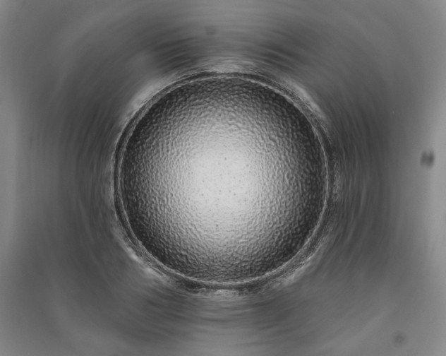 X0000091210986200708161539
