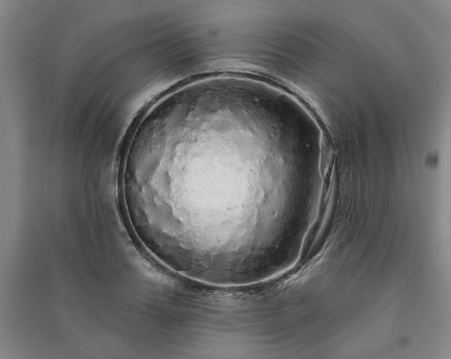 X0000091210987200708161539