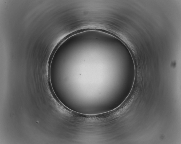 X0000091210988200708161539