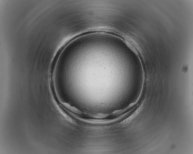 X0000091210989200708161539