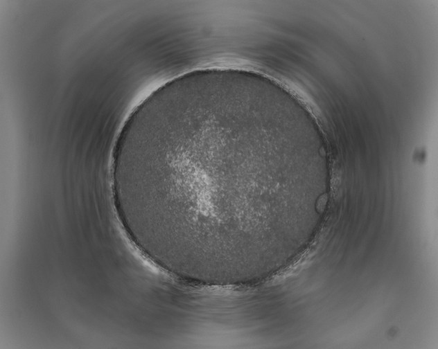 X0000091210990200708161539