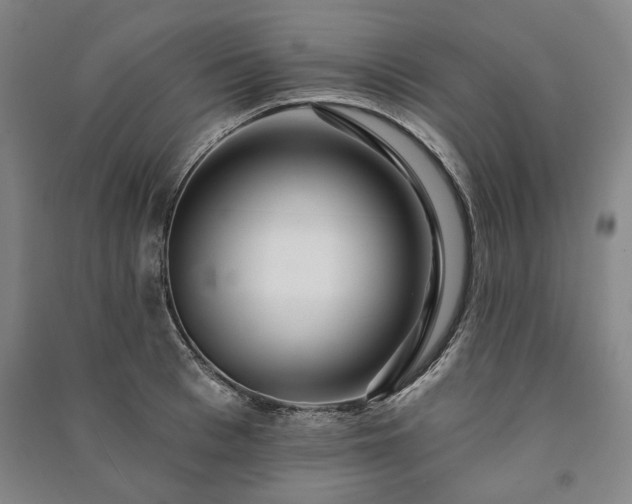 X0000091210993200708161539