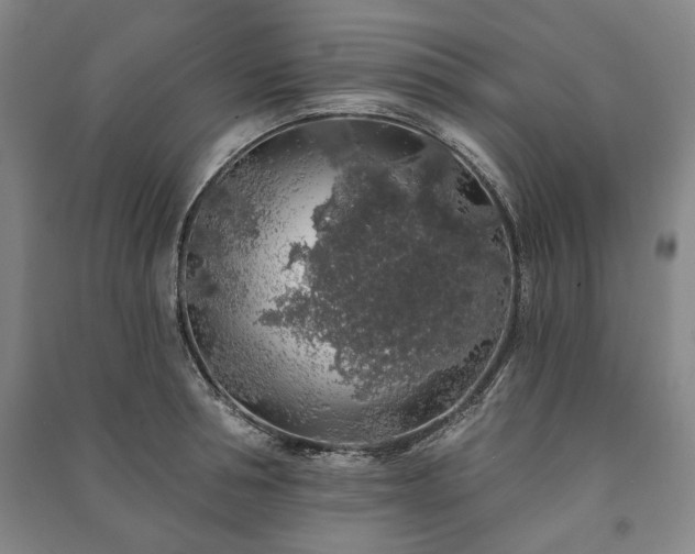 X0000091210994200708161539