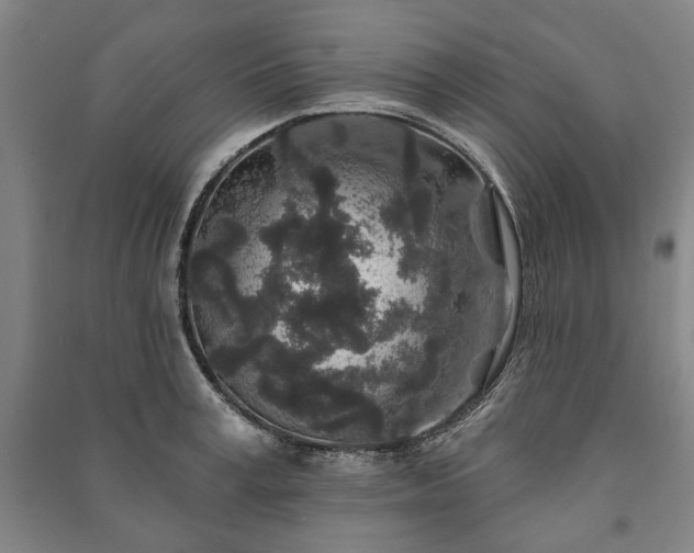 X0000091210995200708161539