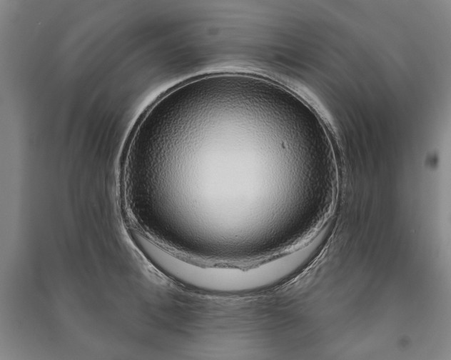 X0000091210996200708161539