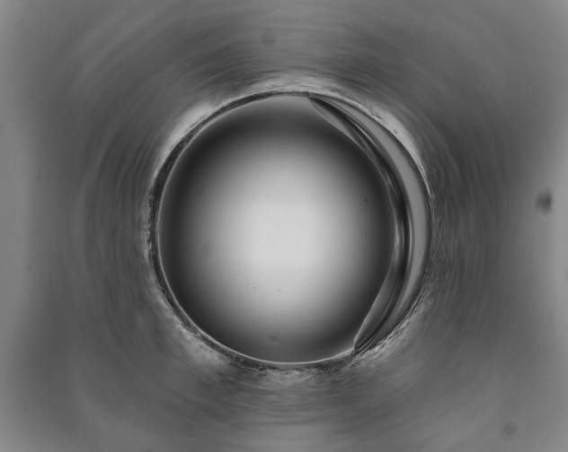 X0000091210997200708161539