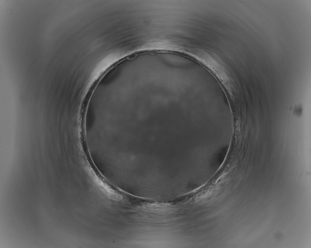 X0000091210998200708161539
